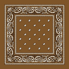 Large 100 Cotton Paisley Bandanas 22 Inch X 22 Inch 