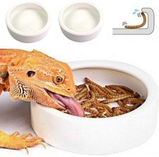  Reptile Food Bowl, Worm Water Dish, Small 2.75" Ceramic Pet Bowls, Mealworm