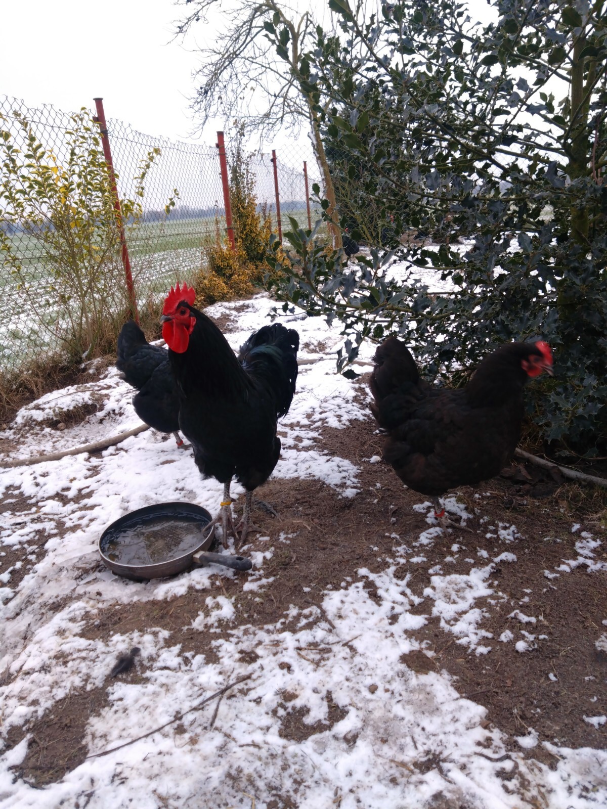 Bild 1 von 13
