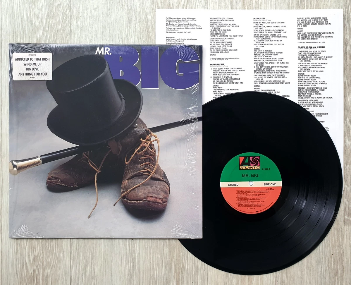Las mejores ofertas en Mr. Big discos de vinilo de importación | eBay