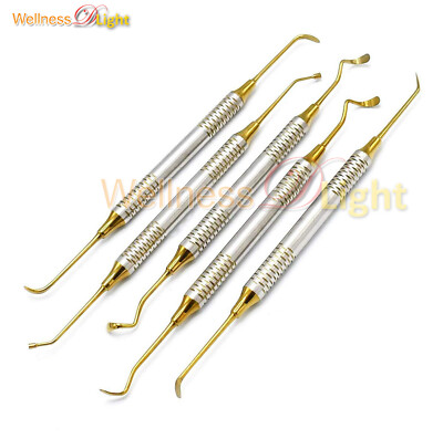  Dental Dentist Sinus Lift Probe Pick Teeth Cleaning Double Ended 5 Pcs DN-2188