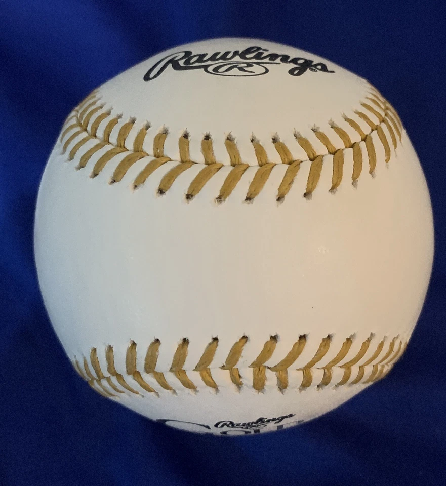 Guante de Oro Firmado por Gerardo Parra Béisbol Bebé Tiburón Washington Nacional Automático GTP Foto 3 de 4