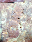 Bild 7 von 24