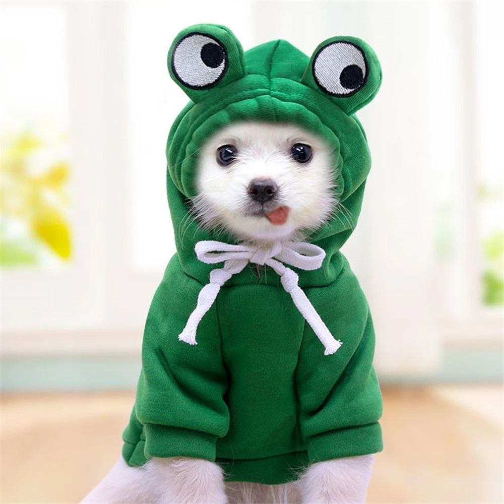 VETEMENTS Felpa con cappuccio cane jumps uit animale domestico frutta cucciolo cappotto cane abbigliamento invernale