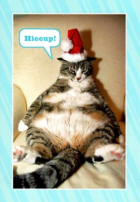 Funny Merry Christmas Fat Cat Ate The Elf Is Missing Hallmark Greeting Card