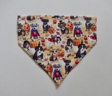 HALLOWEEN COSTUMED DOGS  PUMPKINS DOG SCARF/BANDANA--M, L