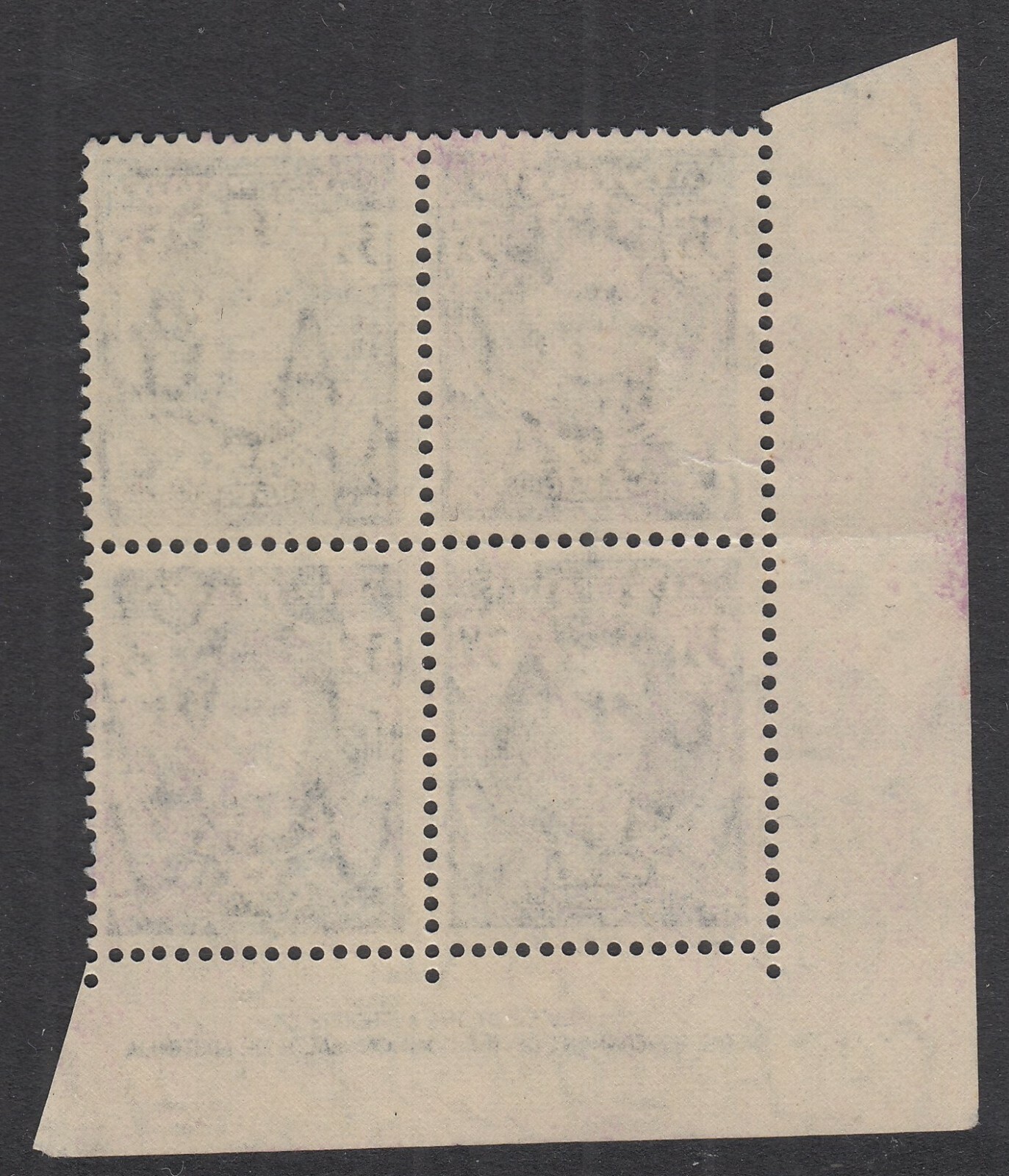 Foto 2 di 2