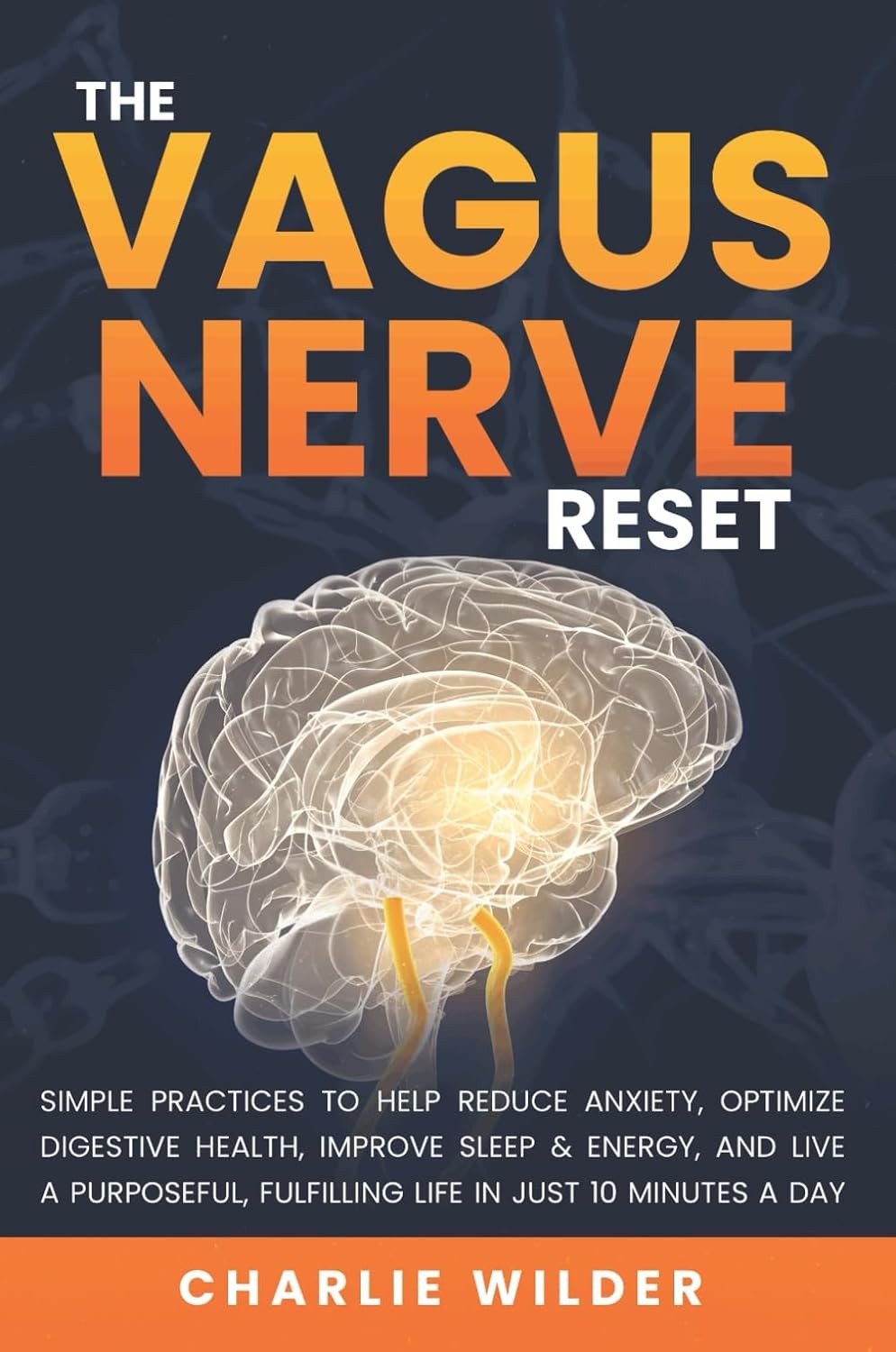 The Vagus Nerve Reset: Simple Practices To Help Reduce Anxiety, Optimize Digest
