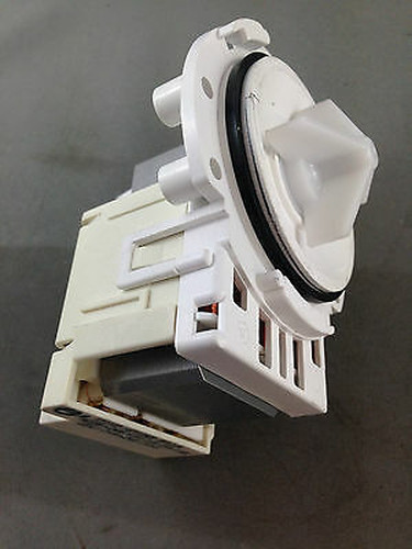Picture 2