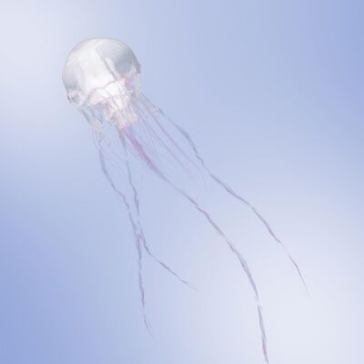 LUMINOUS Limited Edition A CD+Blu-ray by SCANDAL | eBay