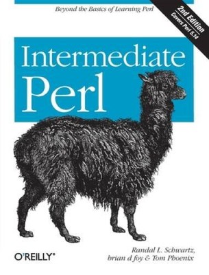 Intermediate Perl: Beyond The Basics of Learning Perl - Paperback - VERY GOOD