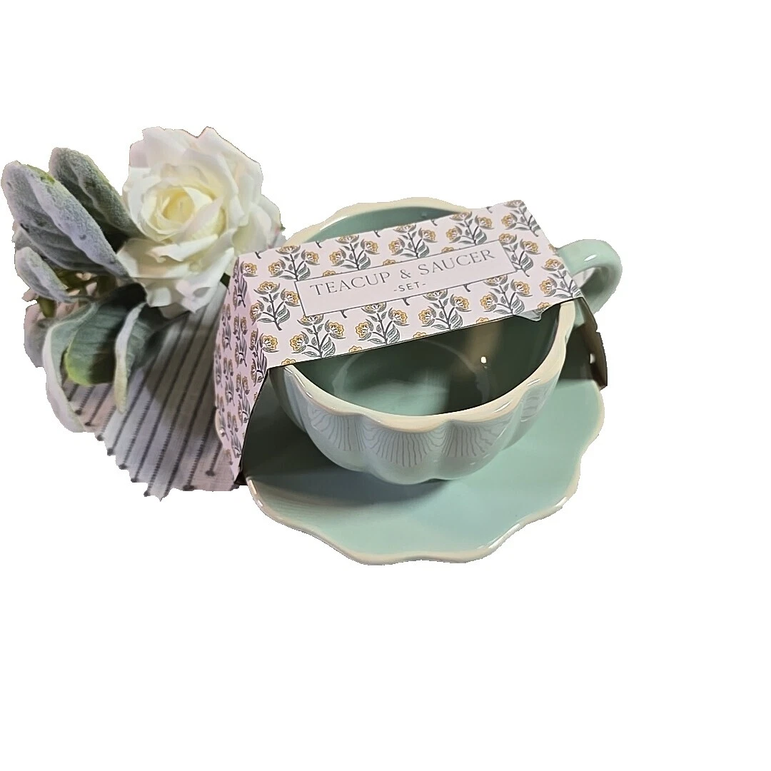 Platillos contemporáneo