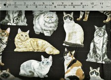 Timeless Treasures  Realistic CATS on Black  100 Cotton Quilt Fabric BTY
