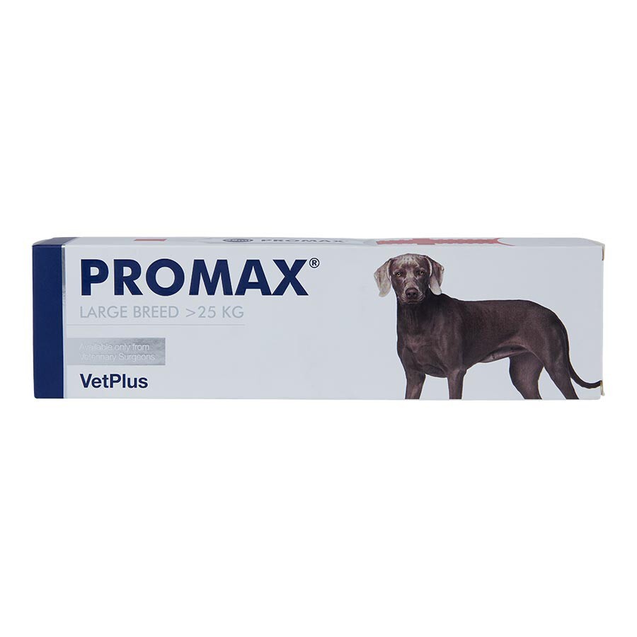 Vetplus Promax Paste Syringe For Large Breed Dogs - 13140493 - Image 2