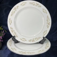 Set Of 2 International Silver Co. Fine China 326 Springtime 10” Dinner Plates
