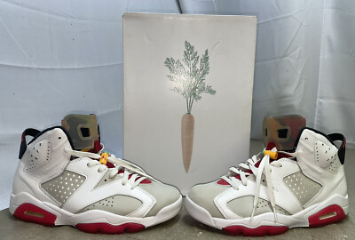 Nike Air Jordan 6 Retro Hare White 2020 Sz 9.5 CT8529-062 White 