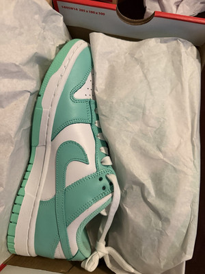 Nike Dunk Low Green White Colorblock Low Top Lace-Up Sneakers Unisex Adults