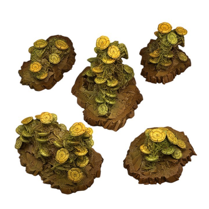 Moulages de collection Fantastic Plants & Rocks Ancient Moulds en résine haute densité pour vitrine