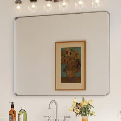 48 In. W X 36 In. H Rectangular Aluminum Framed Wall Bathroom Vanity Mirror in S