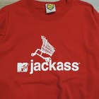 Foto 2 di 6