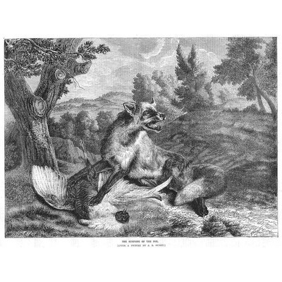 JEAN BAPTISTE OUDRY The Surprise of the Fox - Antique Print 1860