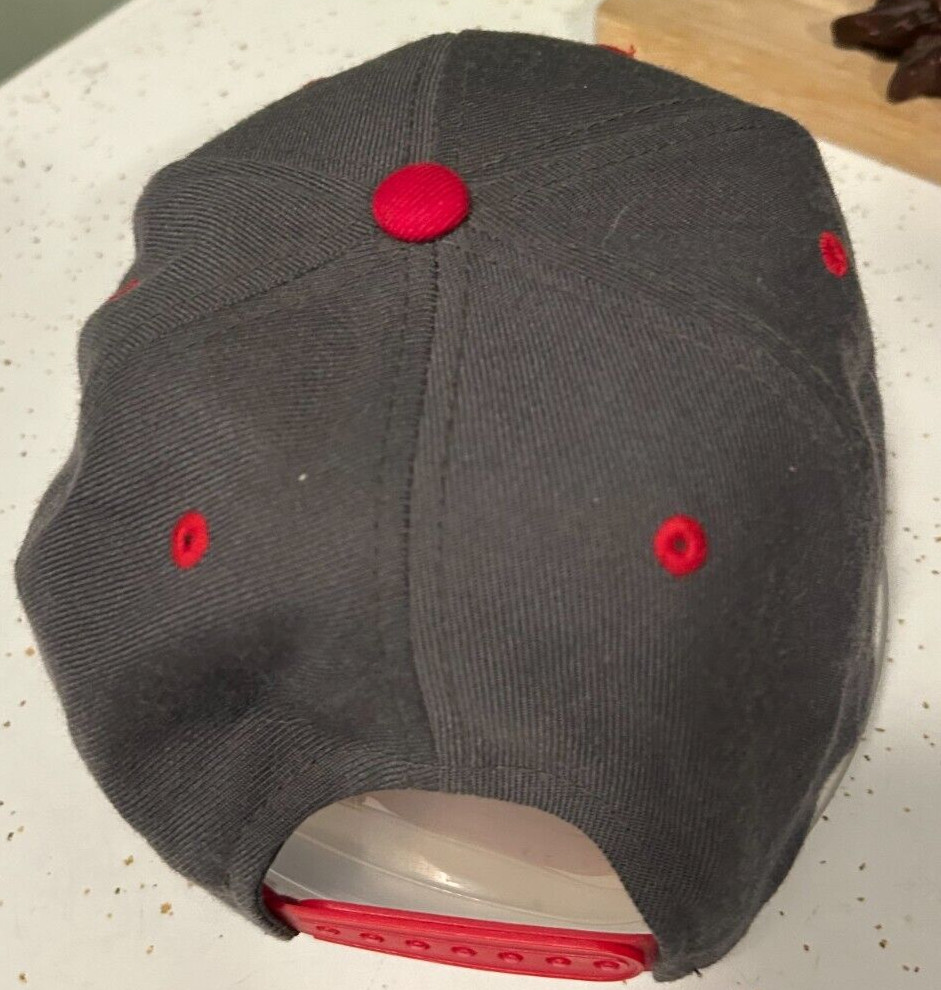 LIDS Hoggin Snap Back Adjustable Baseball Hat Gra… - image 4