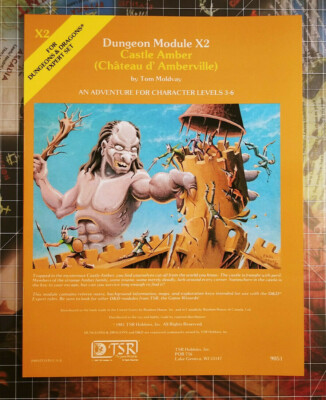 X2 Castle Amber - Dungeons & Dragons - D&D - AD&D