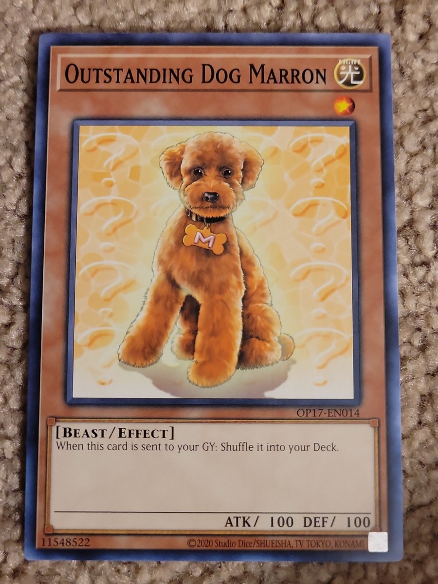 yugioh dog card Yu-Gi-Oh