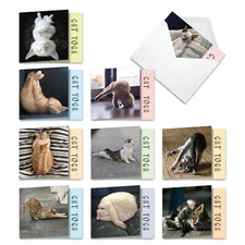 10 Assorted All Occasion Blank Note Cards Pack - Cat Yoga