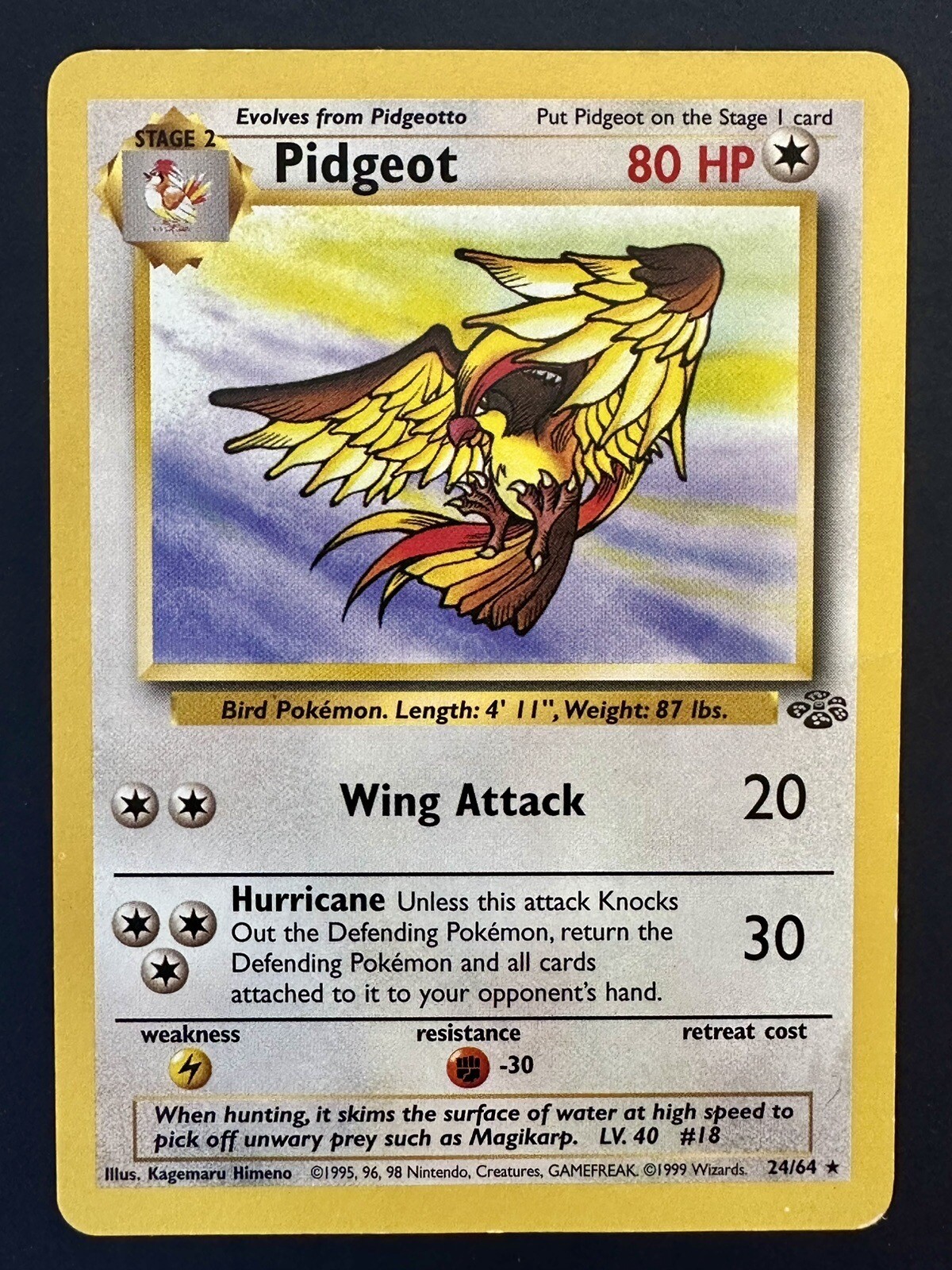 Pidgeot - 24/64 - Rare - Jungle - Pokémon TCG - NM