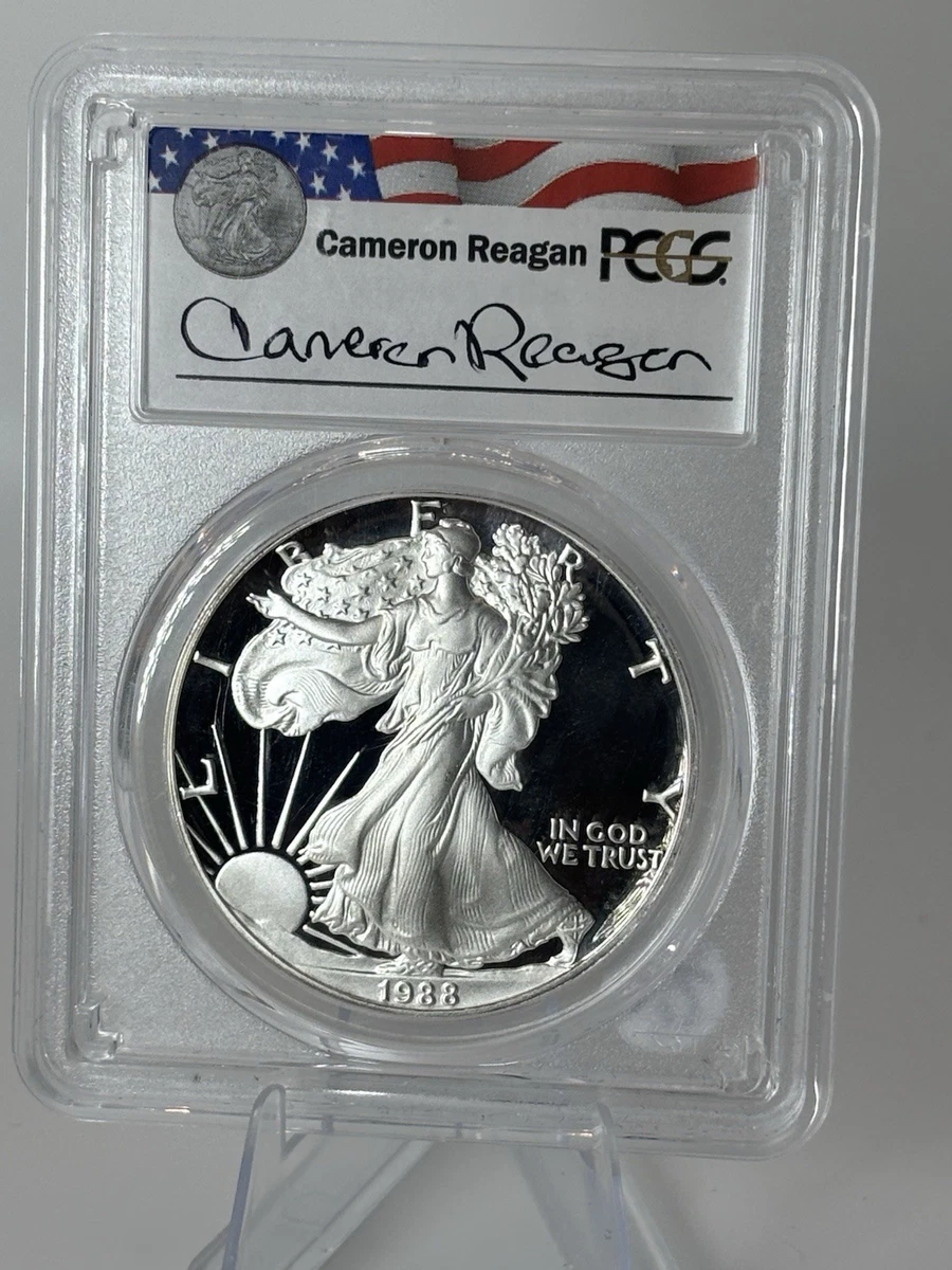 アメリカンイーグル☆　シルバー 1988 American Eagle Silver Bullion Coins for sale | eBay