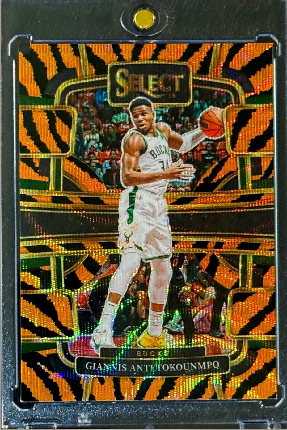2023-24 Panini Select - Concourse Giannis Antetokounmpo #60 Tiger Stripes SSP