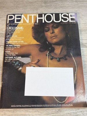 Penthouse Magazine November 1975 Bonnie Dee Pet of the Month w/Centerfold