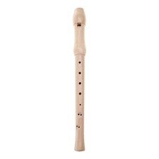 Kids Soprano Recorder 8 Hole C Key Descant Recorder Instrument with Cleaning Rod