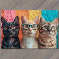 Art Print Cat with Glasses Fun Cute Colorful Kitty Unusual Animal Funny Sweet