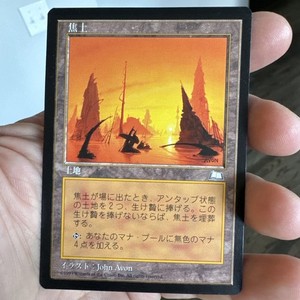Mtg Scorched Ruins | eBay