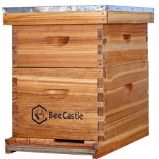 BeeCastle 10-Frames Complete Beehive Kit, 100% Beeswax Coated Bee Hive Includ...