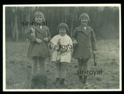 Three Little Sisters with Dachshund - 1920s - Dachshund Teckel Dog - Photo 8x6cm