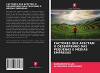 Factores QUE Afectam O Desempenho DAS Pequenas E MÉDias Empresas Elias (U. A.)