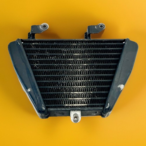 Genuine Ducati 07-14  848 1098 1198 EVO Oil Cooler Radiator OEM Used  54840821A