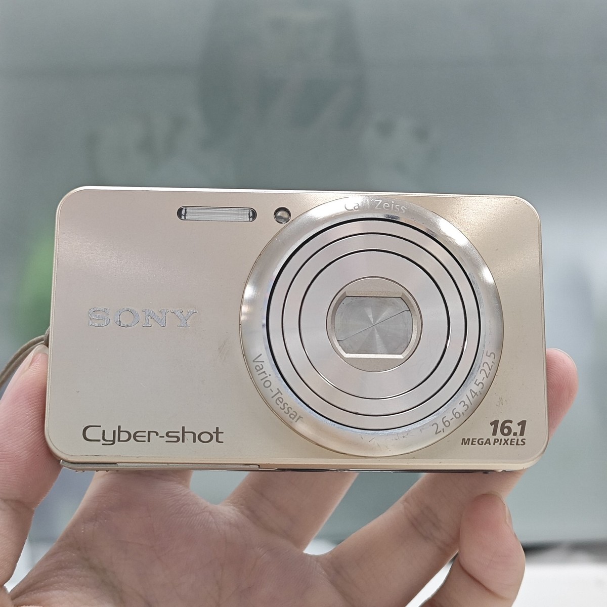 SONY Cyber-shot DSC-W570 16.1MP 5x Optical Zoom Digital Camera