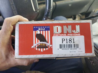 Engine Piston Set  DNJ P181