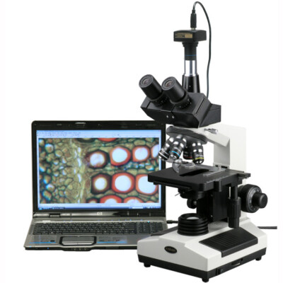 AmScope 40X-2000X Doctor Veterinary Clinic Compound Microscope + 8MP Camera