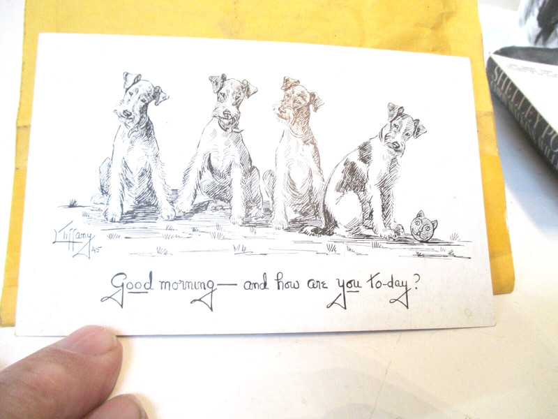 Rare 1945 Lillian Tiffany Four Wire Fox Terriers Portrait Postcard