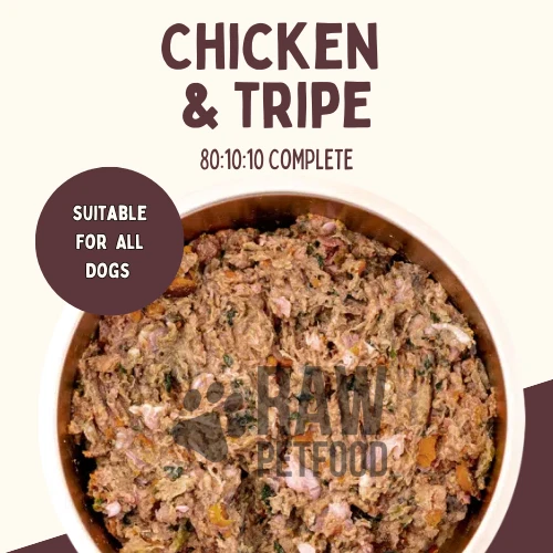 CHICKEN & TRIPE Complete Prime RAW Frozen 801010 Dog Food Rolls