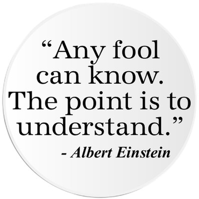 The Point Is To Understand Einstein Quote - 100 Pack Circle Stickers 3 Inch