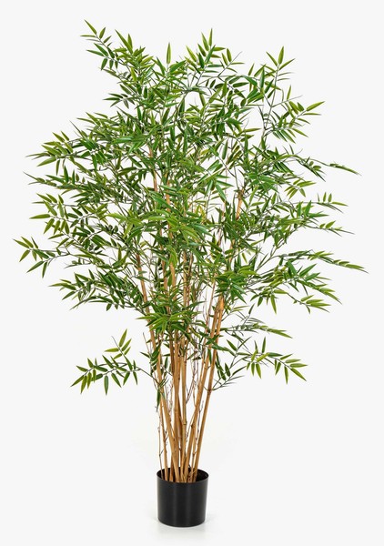Artplants Deko Bambus Hatysa, NaturstäMme, 150Cm-image