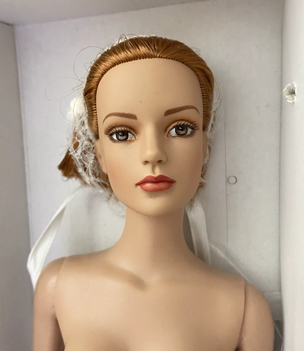 25+ Tonner Tyler Wentworth Collection Original (Opened) Dolls