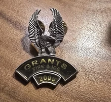Grants FIRE & ICE Eagle Lapel Hat Pin Motorcycle Collectible