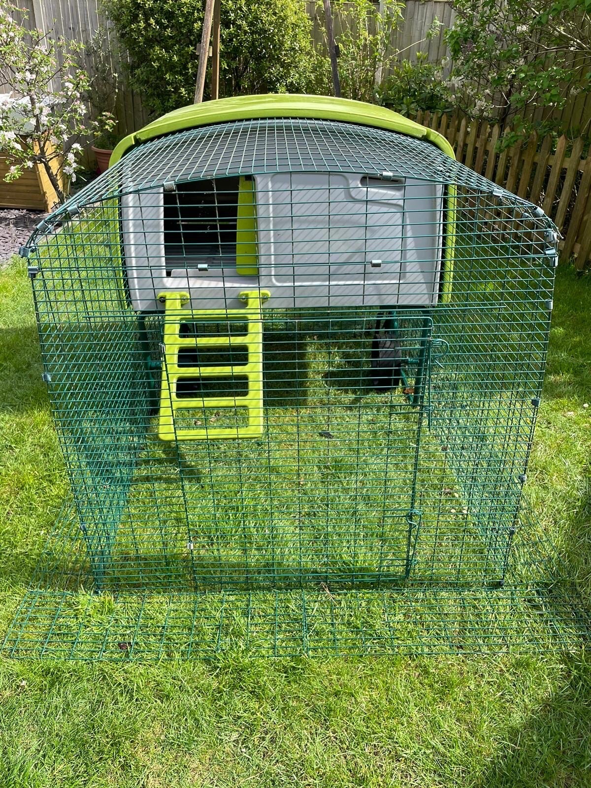 Omlet Eglu Cube Green Chicken Coop with wheels, stand, ladder & run